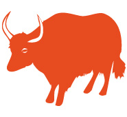 Tierkreiszeichen Büffel