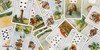 Lenormand: Legesysteme mit Anleitung