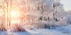 Wintersonnenwende 2018 – die Rückkehr des Lichts